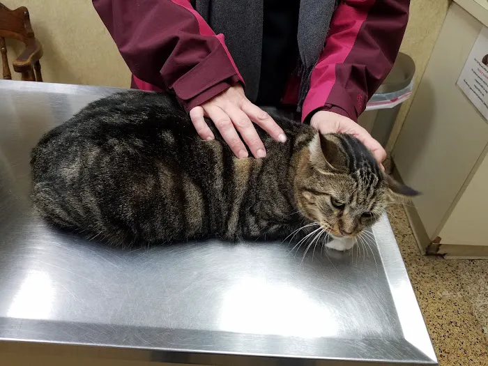VCA Foothill Veterinary Hospital Picture 4