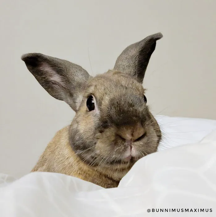 Exotic Animal Veterinary Center Picture 1