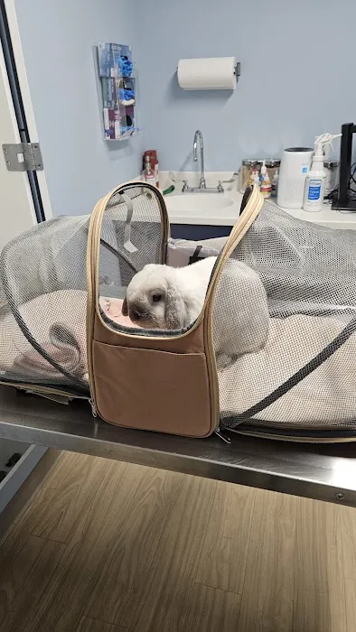 Exotic Animal Veterinary Center Picture 4
