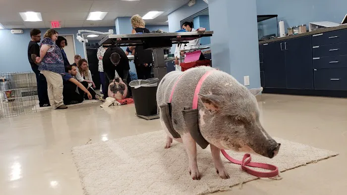Exotic Animal Veterinary Center Picture 6