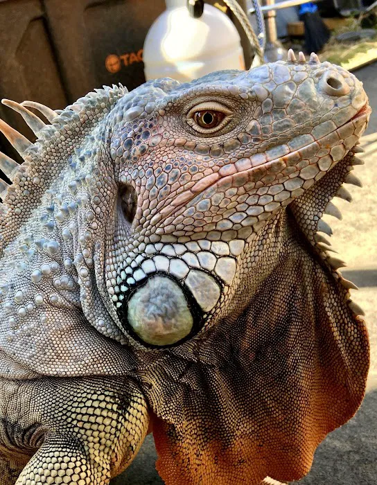Exotic Animal Veterinary Center Picture 7