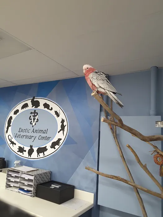 Exotic Animal Veterinary Center Picture 8
