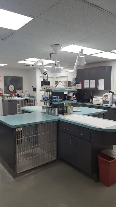 Rose City Veterinary Hospital Picture 7