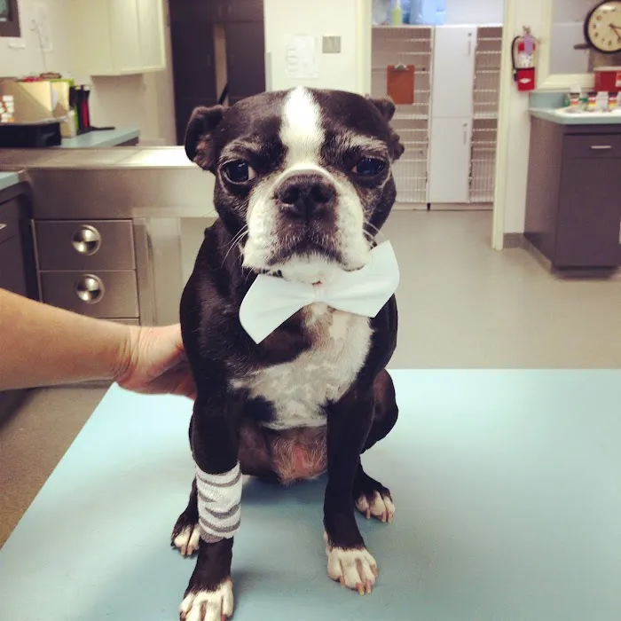 Rose City Veterinary Hospital Picture 9