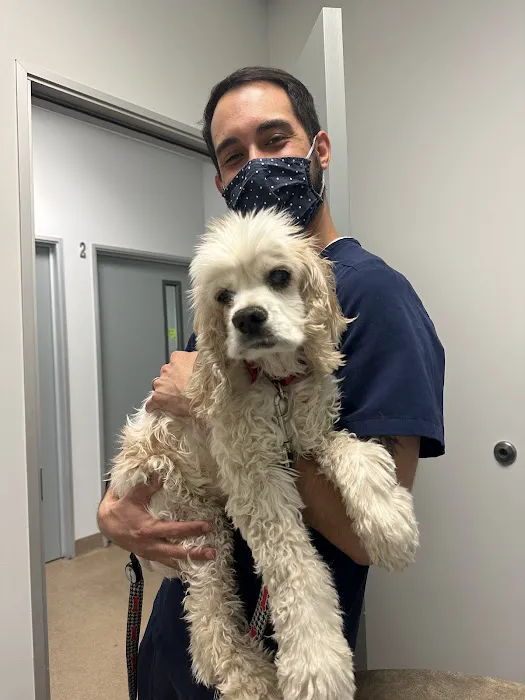 Animal Dermatology Clinic Picture 2