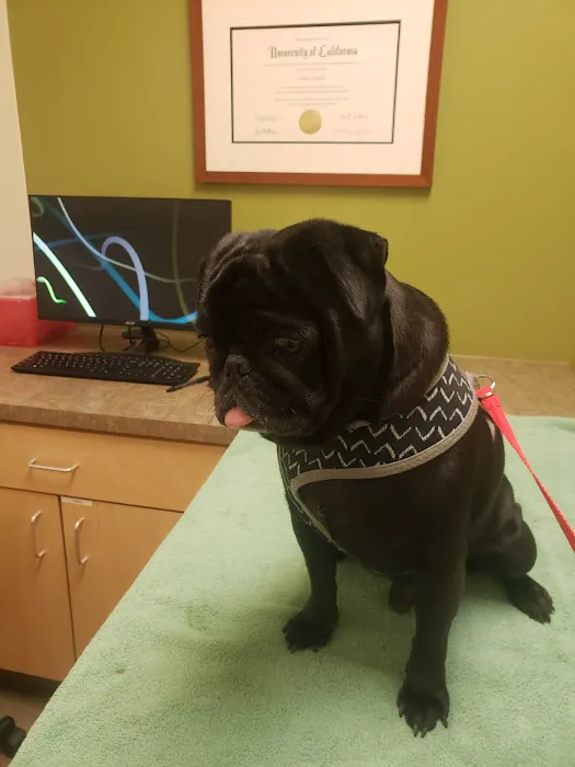 Animal Dermatology Clinic Picture 9