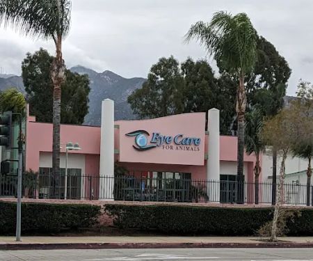Advanced Veterinary Dentistry