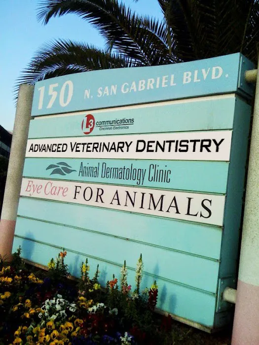 Advanced Veterinary Dentistry Picture 4