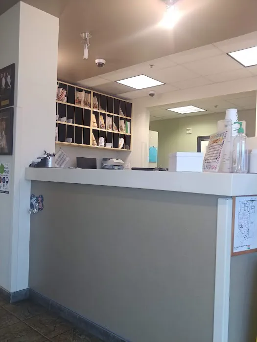Eye Care for Animals - Pasadena Picture 8