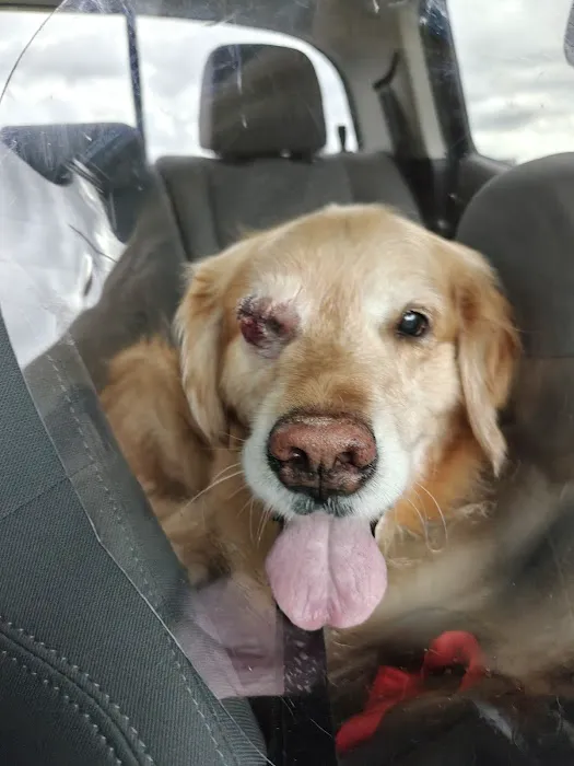 Eye Care for Animals - Pasadena Picture 10