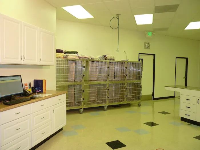 Pasadena Pets Veterinary Hospital Picture 2