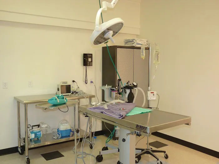 Pasadena Pets Veterinary Hospital Picture 1