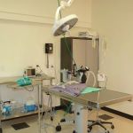 Pasadena Pets Veterinary Hospital