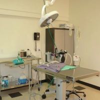 Pasadena Pets Veterinary Hospital ico