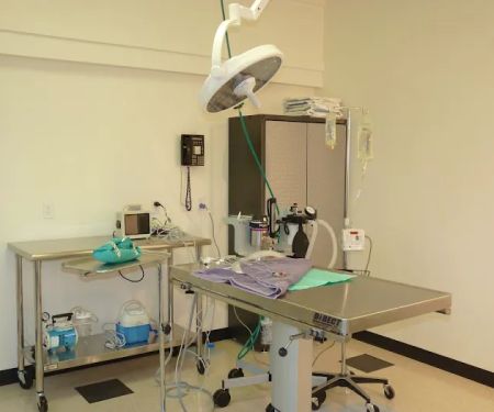Pasadena Pets Veterinary Hospital