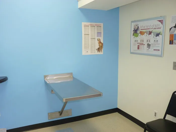 Pasadena Pets Veterinary Hospital Picture 9