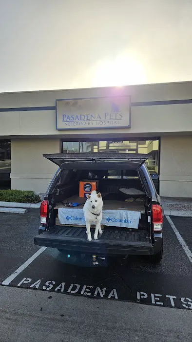 Pasadena Pets Veterinary Hospital Picture 10