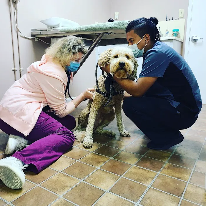 Cherry Chase Pet Hospital Picture 7