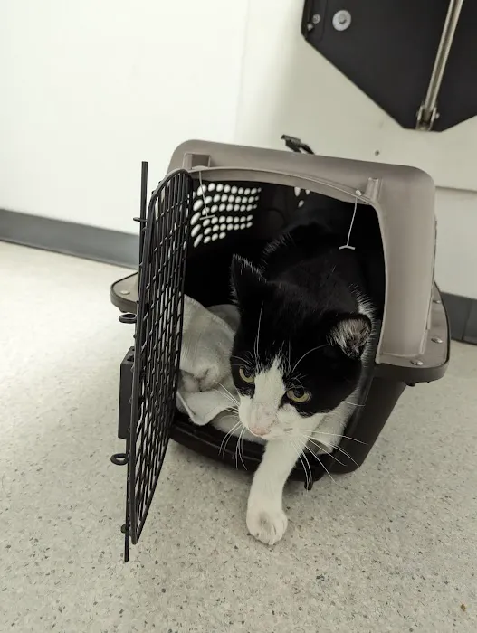Cupertino Animal Hospital Picture 1