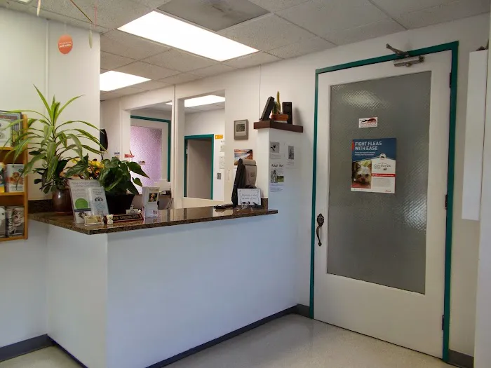 Cupertino Animal Hospital Picture 6