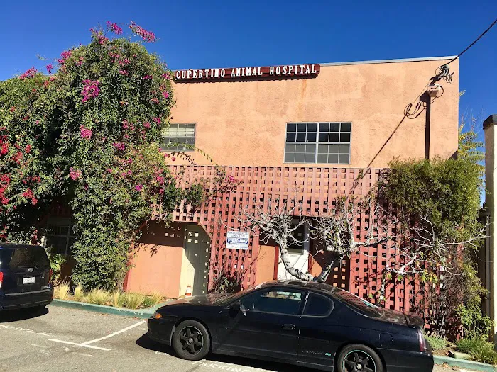 Cupertino Animal Hospital Picture 7