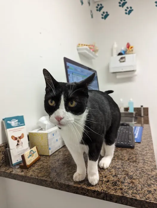 Cupertino Animal Hospital Picture 4