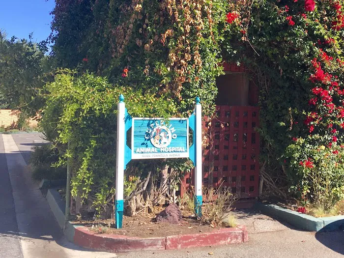 Cupertino Animal Hospital Picture 10