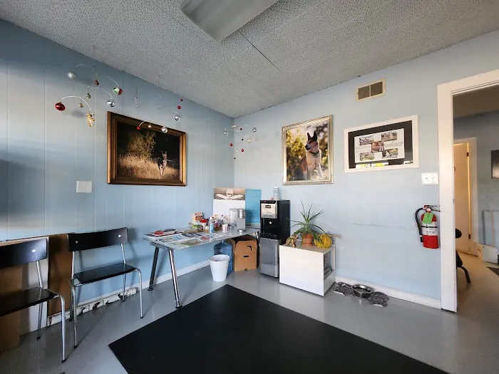 Petlight Therapy Center Picture 3