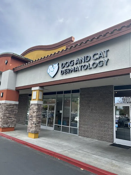 Dog and Cat Dermatology Picture 1