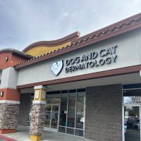 Dog and Cat Dermatology ico