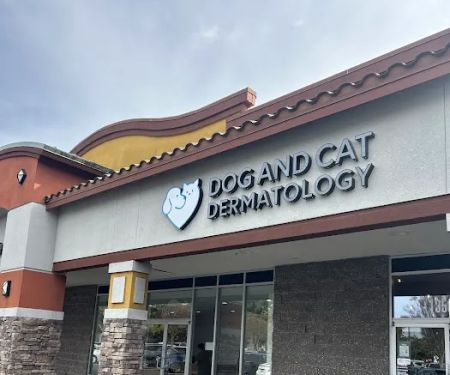 Dog and Cat Dermatology