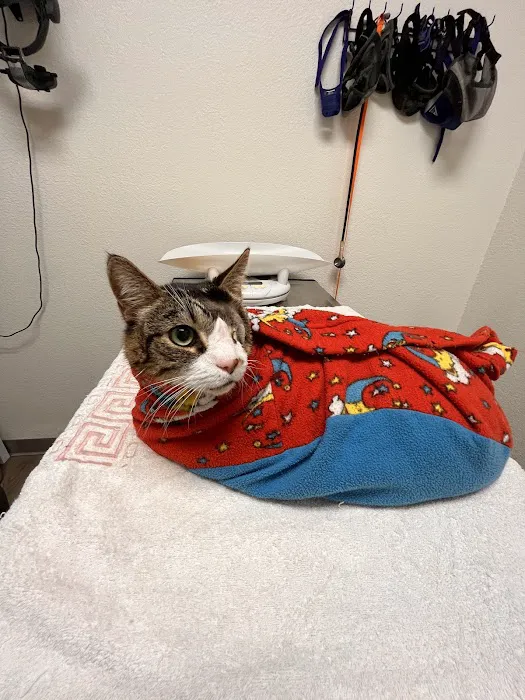 Animal Eye Care Picture 4