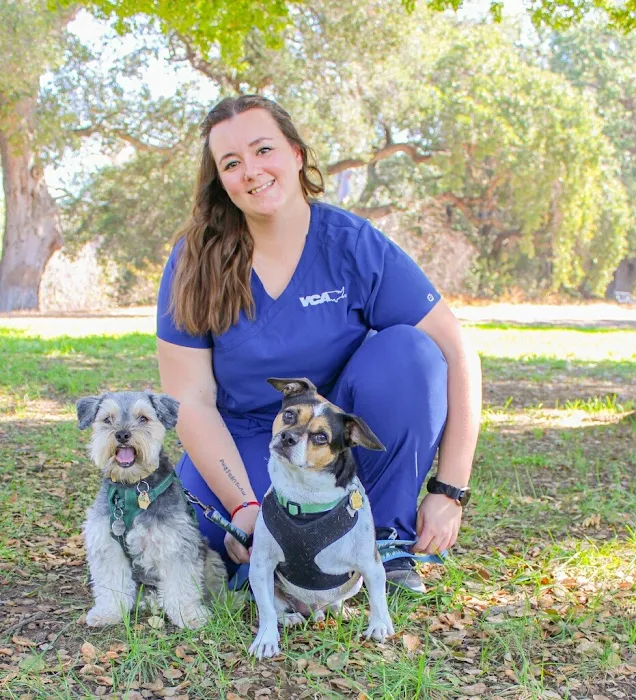VCA Mission San Jose Animal Hospital Picture 5