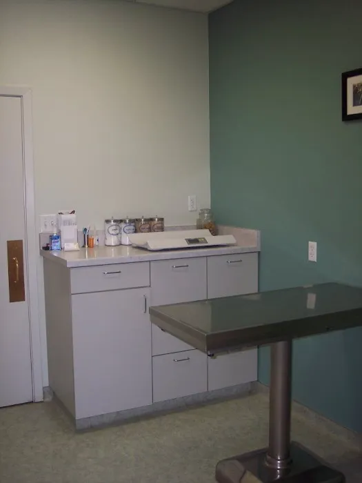 VCA Mission San Jose Animal Hospital Picture 7