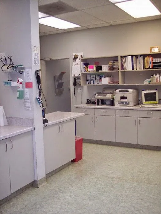 VCA Mission San Jose Animal Hospital Picture 10