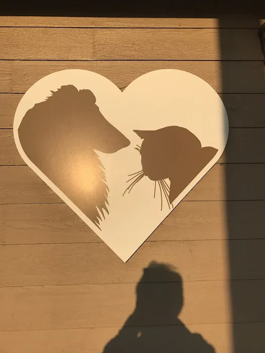 Irvington Pet Hospital Picture 4