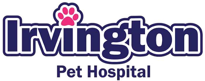 Irvington Pet Hospital Picture 6