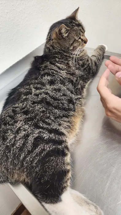 Fremont Pet Hospital Picture 4
