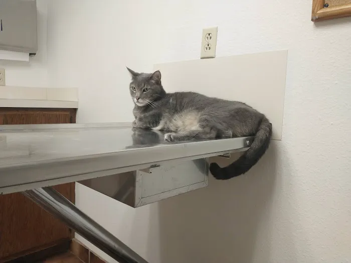 Fremont Pet Hospital Picture 9