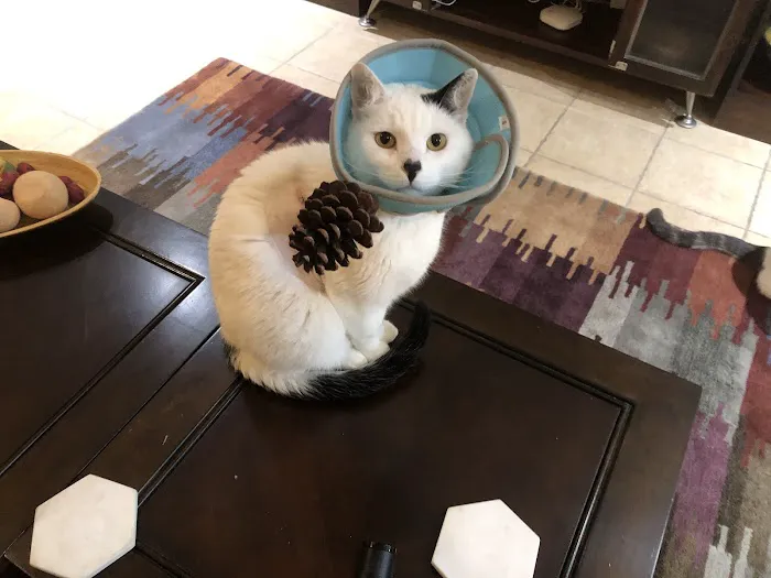 Aborn Pet Hospital Picture 7