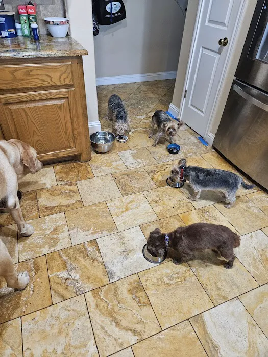 Aborn Pet Hospital Picture 8