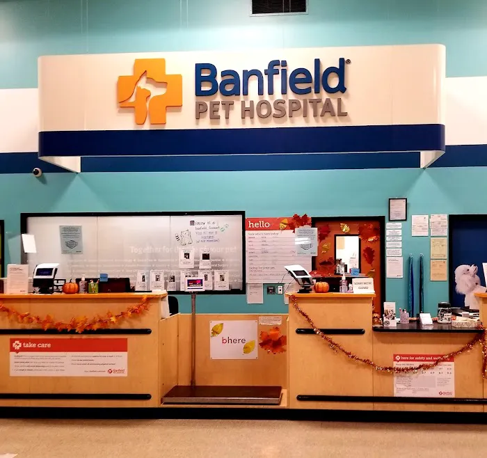 Banfield Pet Hospital Picture 5