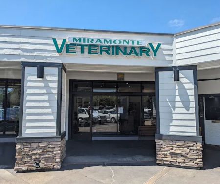 Miramonte Veterinary Hospital