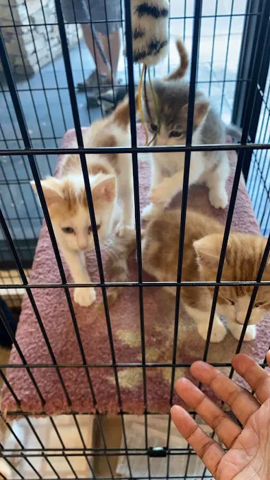 Miramonte Veterinary Hospital Picture 8