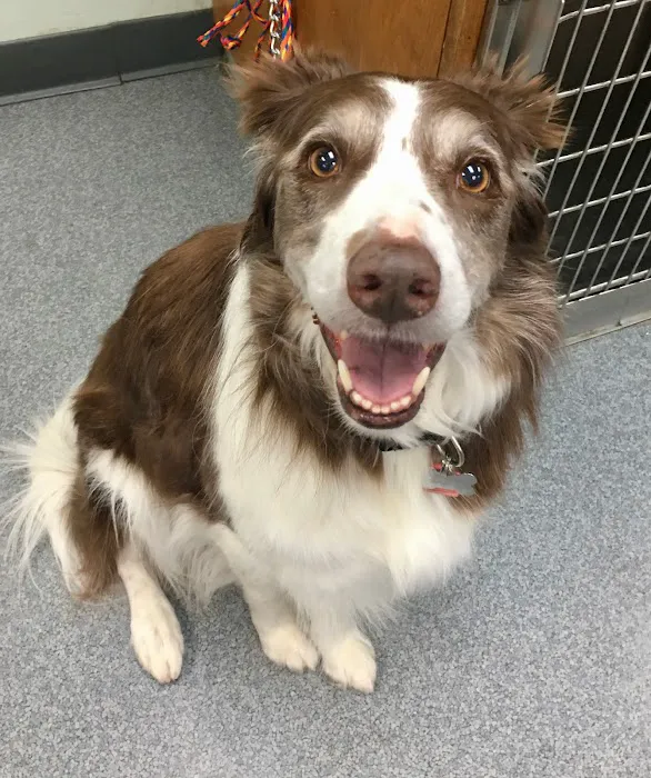 Acadia Veterinary Clinic Picture 1