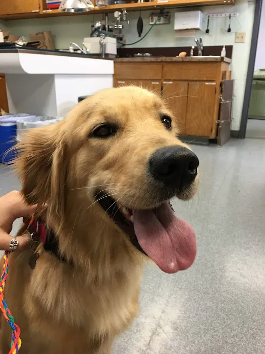 Acadia Veterinary Clinic Picture 5