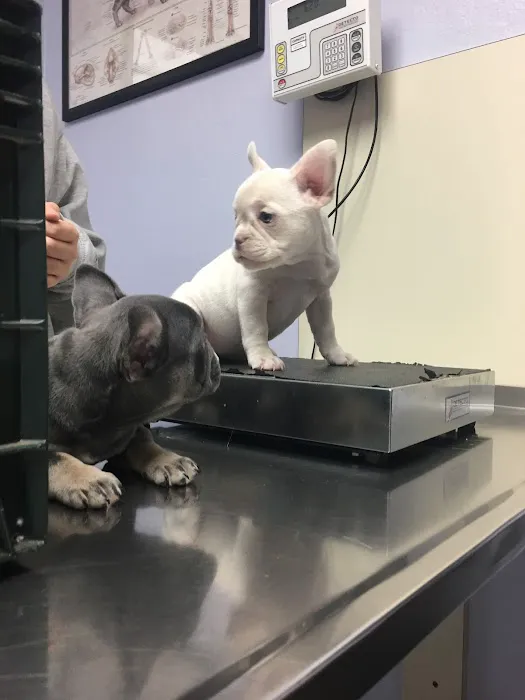 Acadia Veterinary Clinic Picture 4