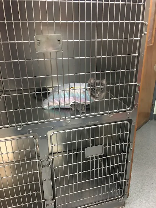 Acadia Veterinary Clinic Picture 7