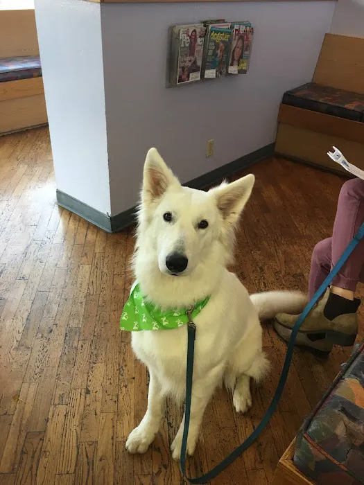Acadia Veterinary Clinic Picture 6