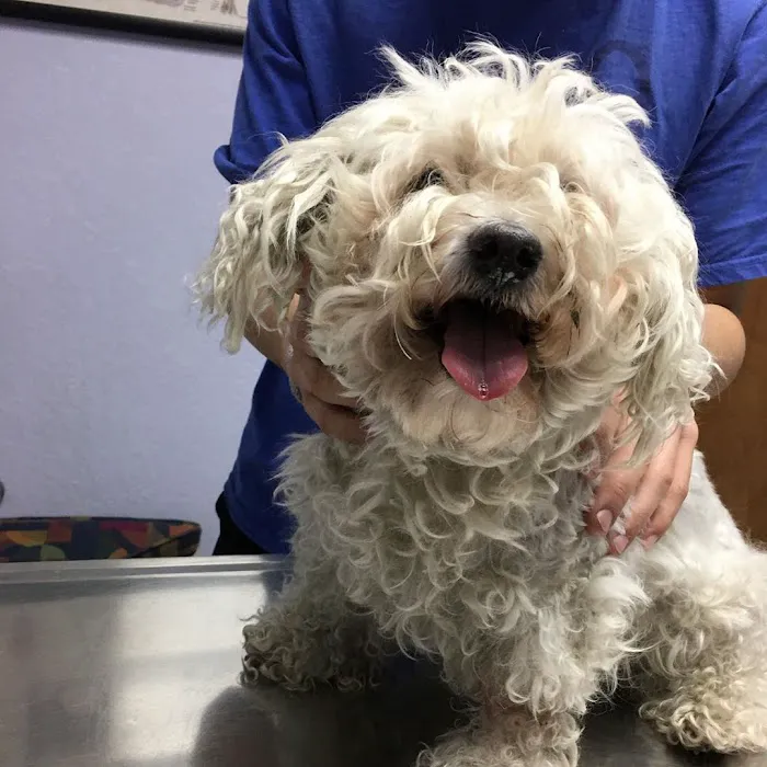 Acadia Veterinary Clinic Picture 10